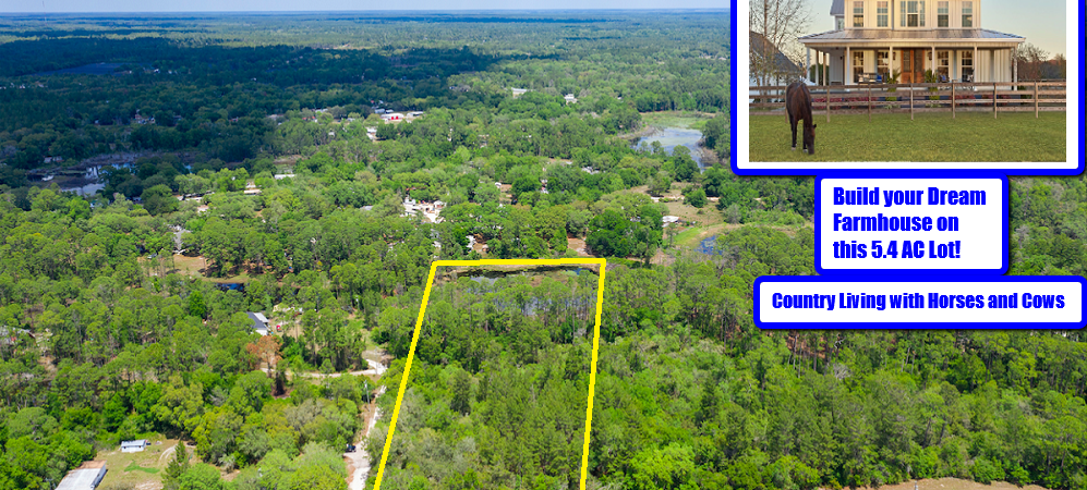 5 AC in Eustis, Lake County, FL