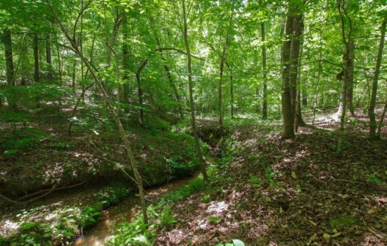 1.48 Acres in Asheboro, Randolph County, NC