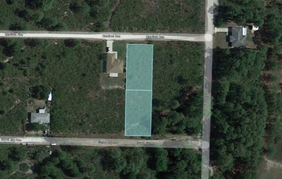 0.46 Acre in Sebring, Highlands County, FL